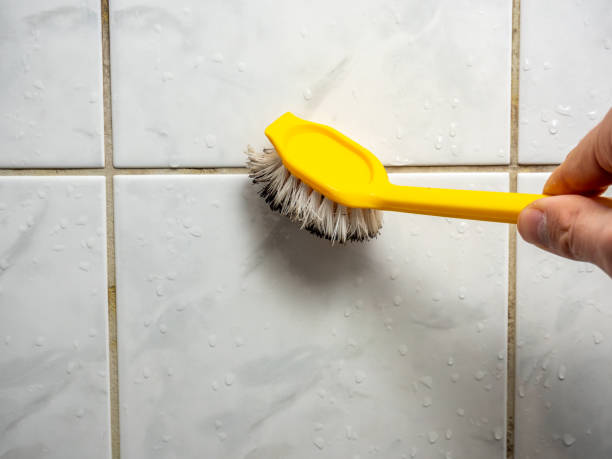 Best Basement Mold Remediation in Arden Arde, CA